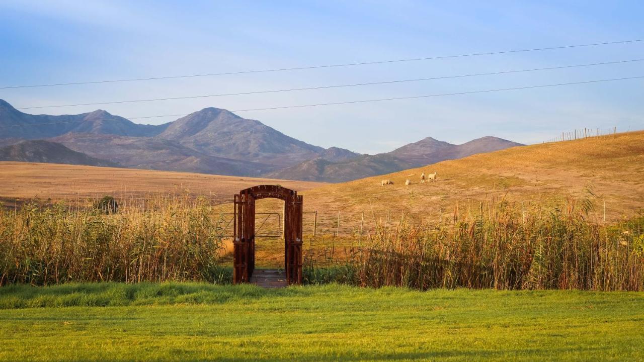 Endless Vineyards At Wildekrans Wine Estate Guest House Ботривиър Екстериор снимка