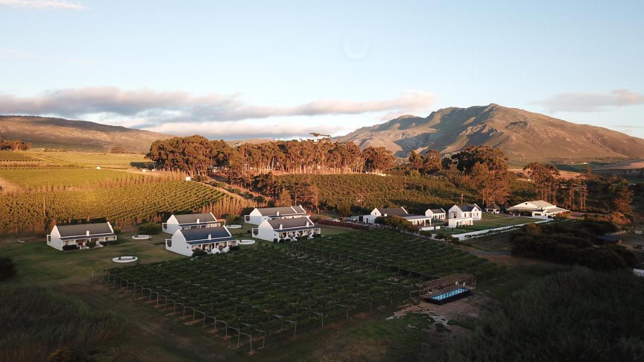 Endless Vineyards At Wildekrans Wine Estate Guest House Ботривиър Екстериор снимка