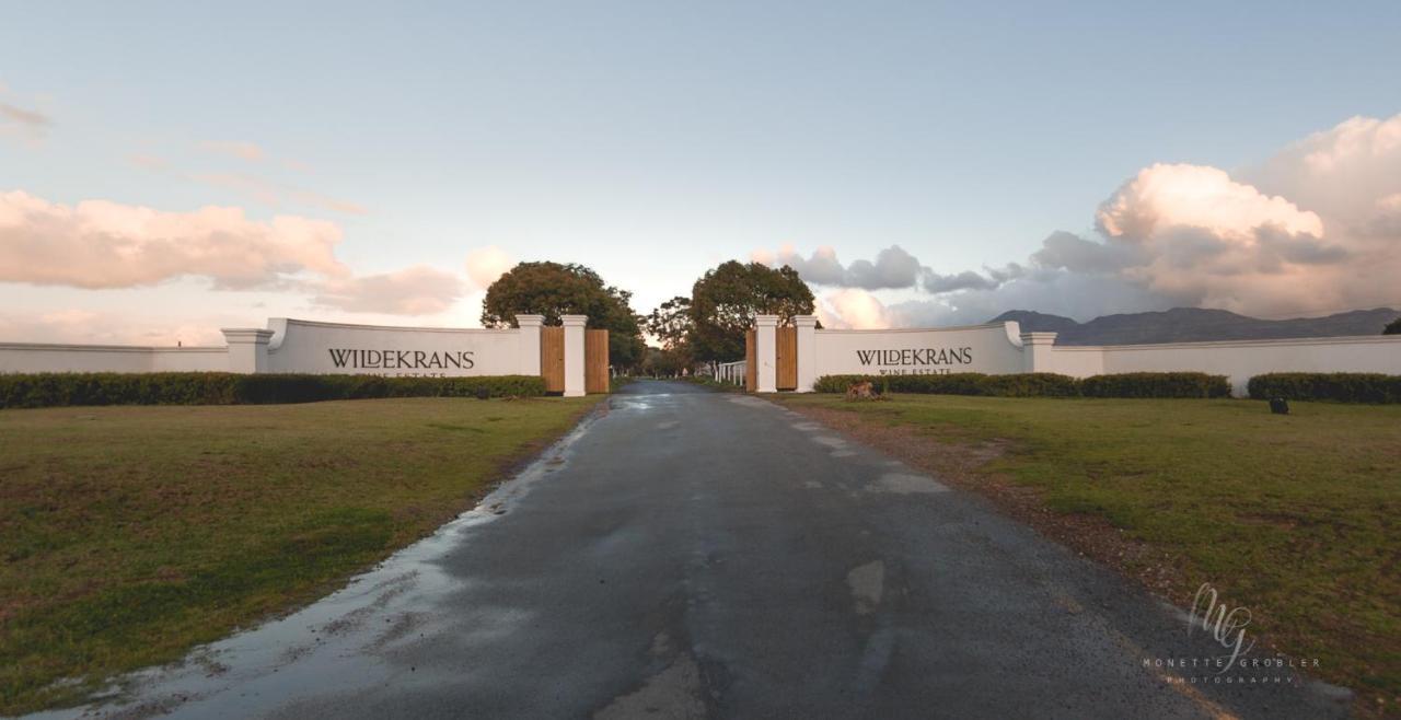 Endless Vineyards At Wildekrans Wine Estate Guest House Ботривиър Екстериор снимка