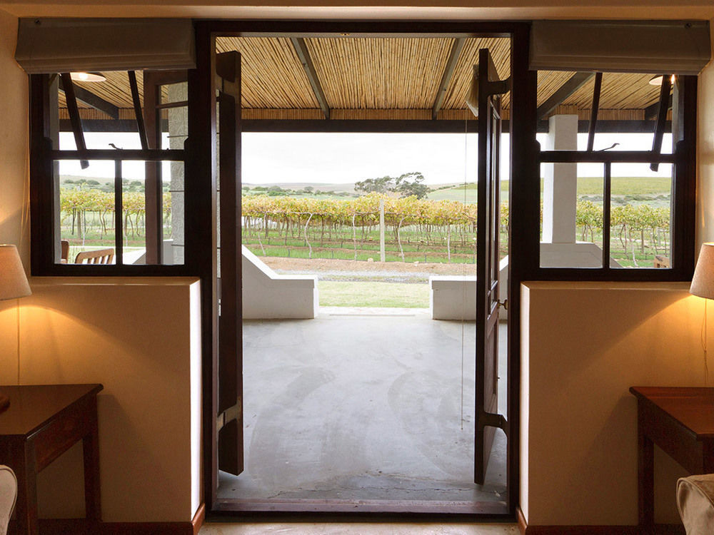 Endless Vineyards At Wildekrans Wine Estate Guest House Ботривиър Екстериор снимка