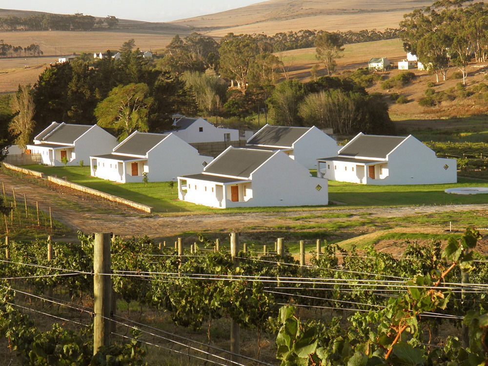 Endless Vineyards At Wildekrans Wine Estate Guest House Ботривиър Екстериор снимка