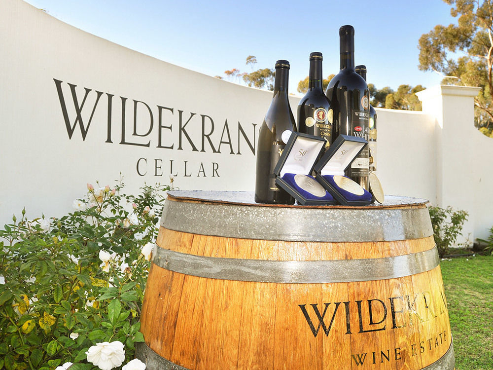 Endless Vineyards At Wildekrans Wine Estate Guest House Ботривиър Екстериор снимка