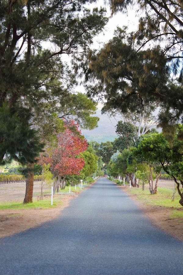 Endless Vineyards At Wildekrans Wine Estate Guest House Ботривиър Екстериор снимка